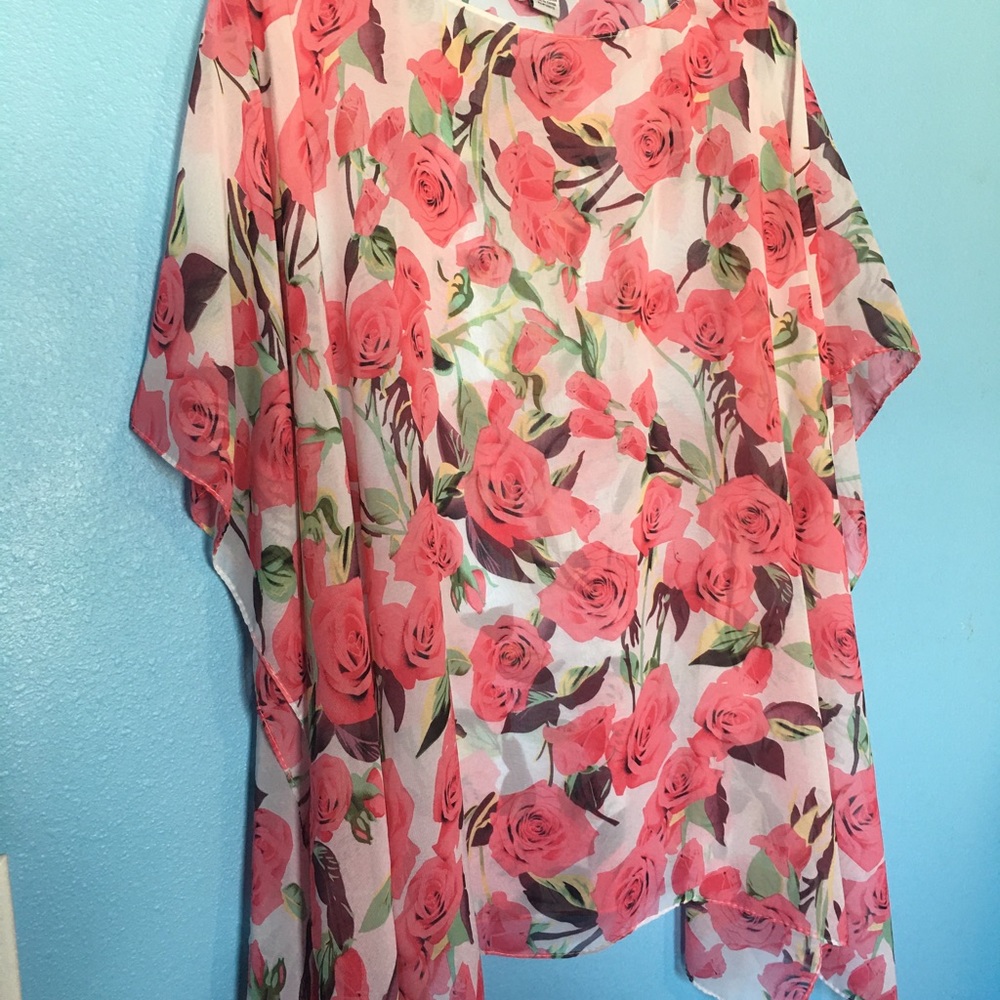 Charlotte Daniels cover up . Gently used , wore once . Silky sheer material .